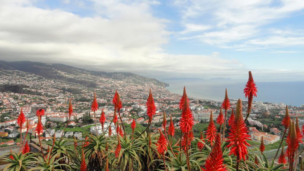 Apartment Palma Madeira Wandern Und Tauchen Caniço Exteriör bild